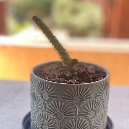 Luxury Apart A Gueliz Marrakech Marrakesz Zewnętrze zdjęcie